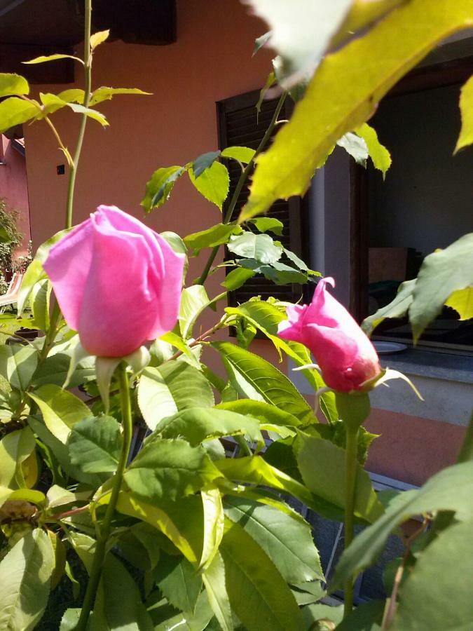 Le Ginestre Bed and Breakfast Caselle Torinese Exterior foto